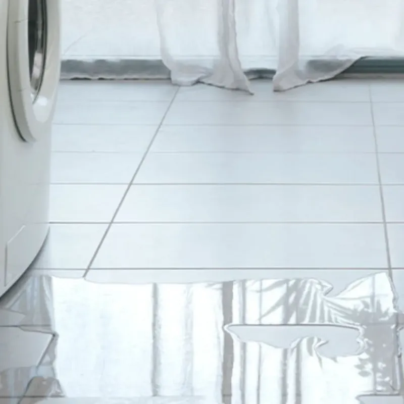 Appliance Leak Cleanup in Cascade, ID