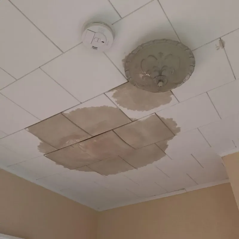Ceiling Water Damage Repair in Cascade, ID