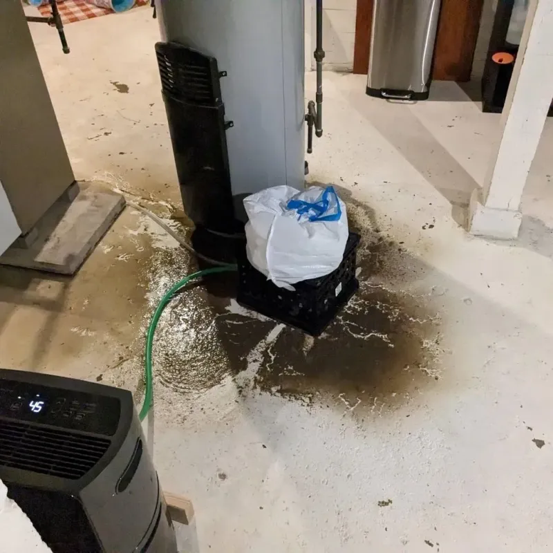 Sewage Backup Cleanup Service in Cascade, ID